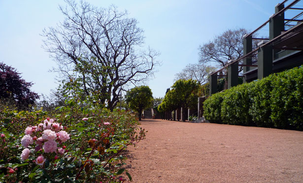 http://www.jardinesbarcelona.es/logos/jardines_barcelona_.jpg